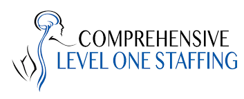 Comprehensive Level One Staffing logo featuring abstract human head with brain outline and company name in bold text.
